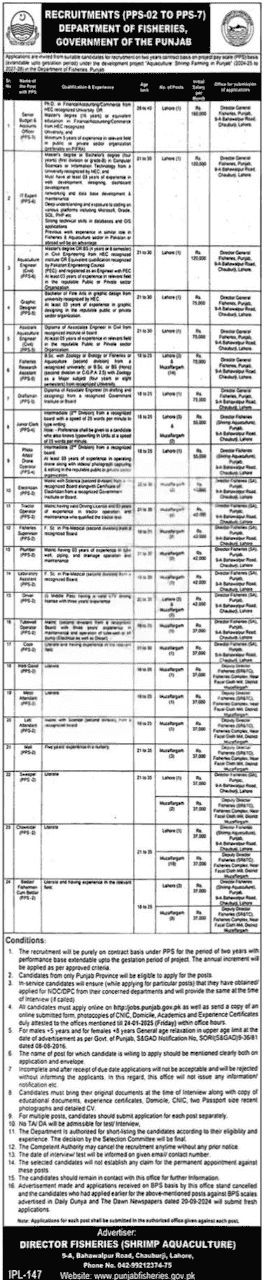 Fisheries Department Punjab Jobs