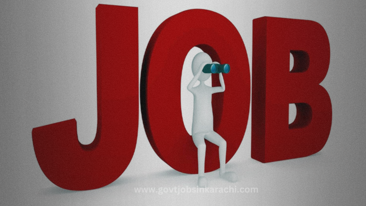 job chahiye
