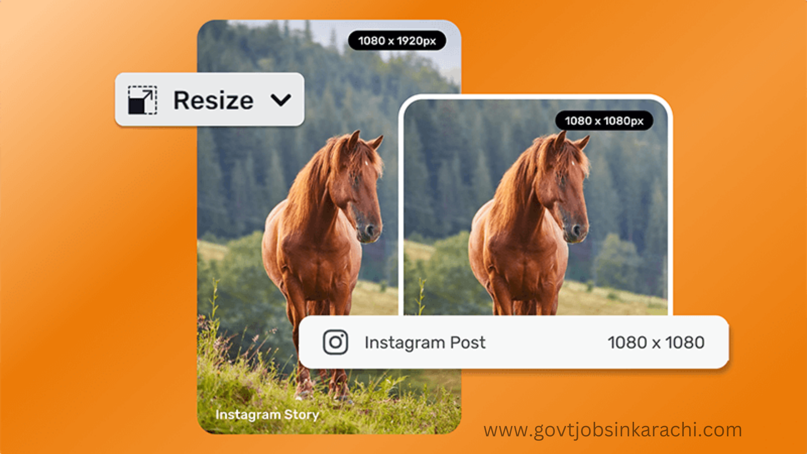 image resizer